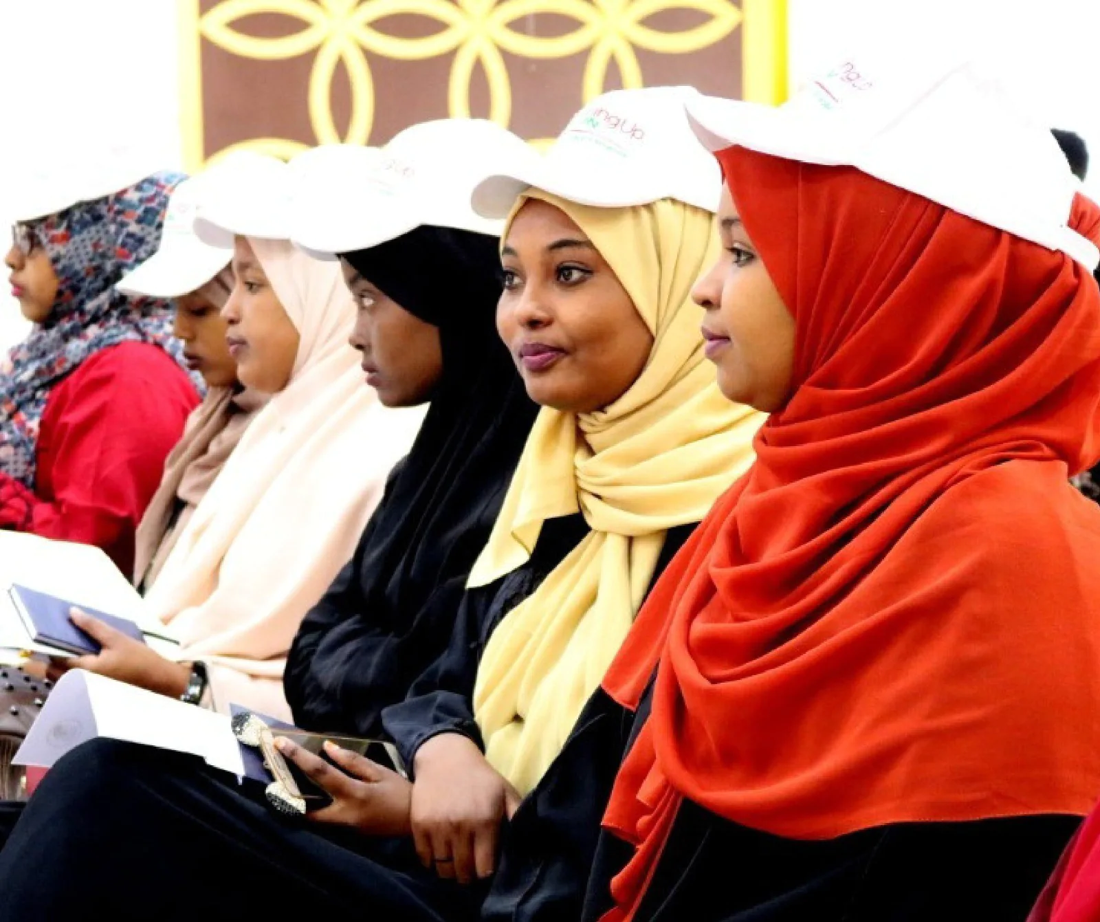 GBV FGM - Protection and Participation Program - ACRIF