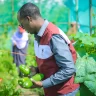 Home Kitchen Garden Best Practice Note 1